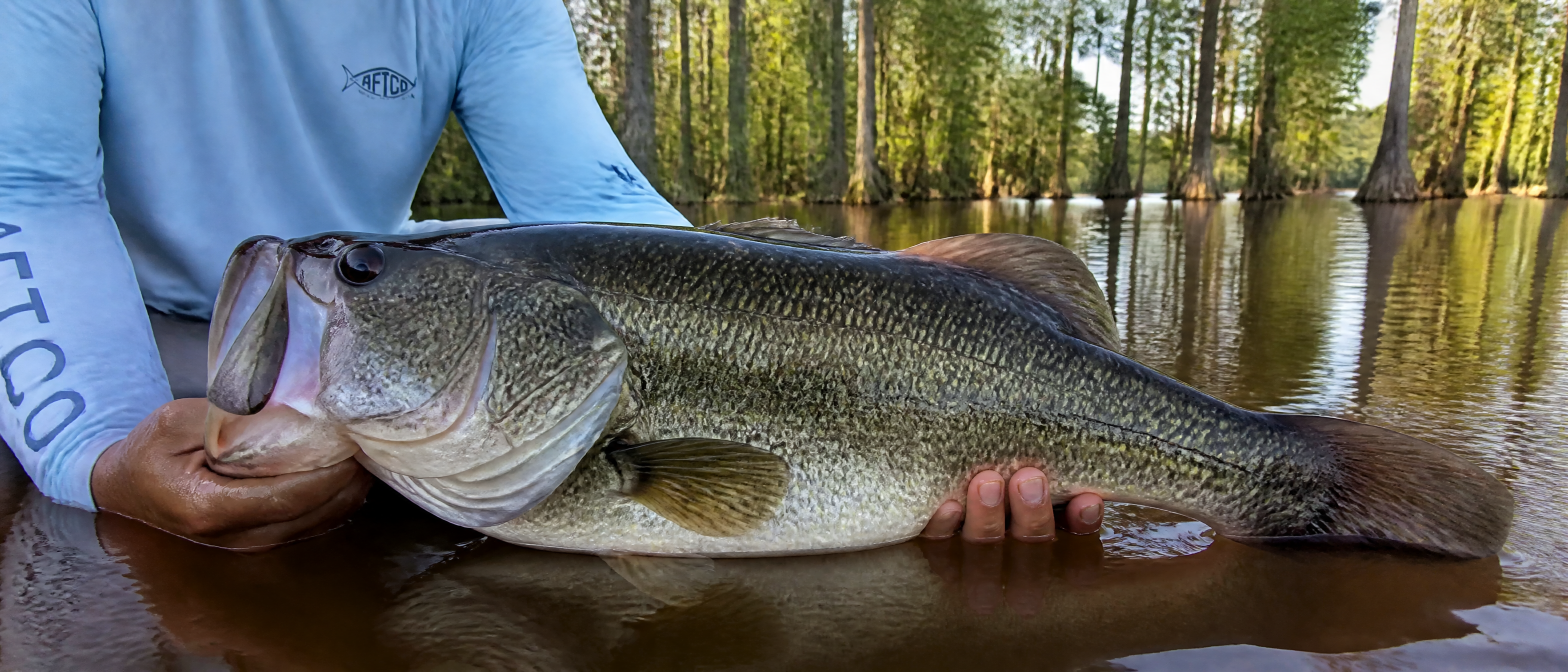 Toledo Bend fishing report